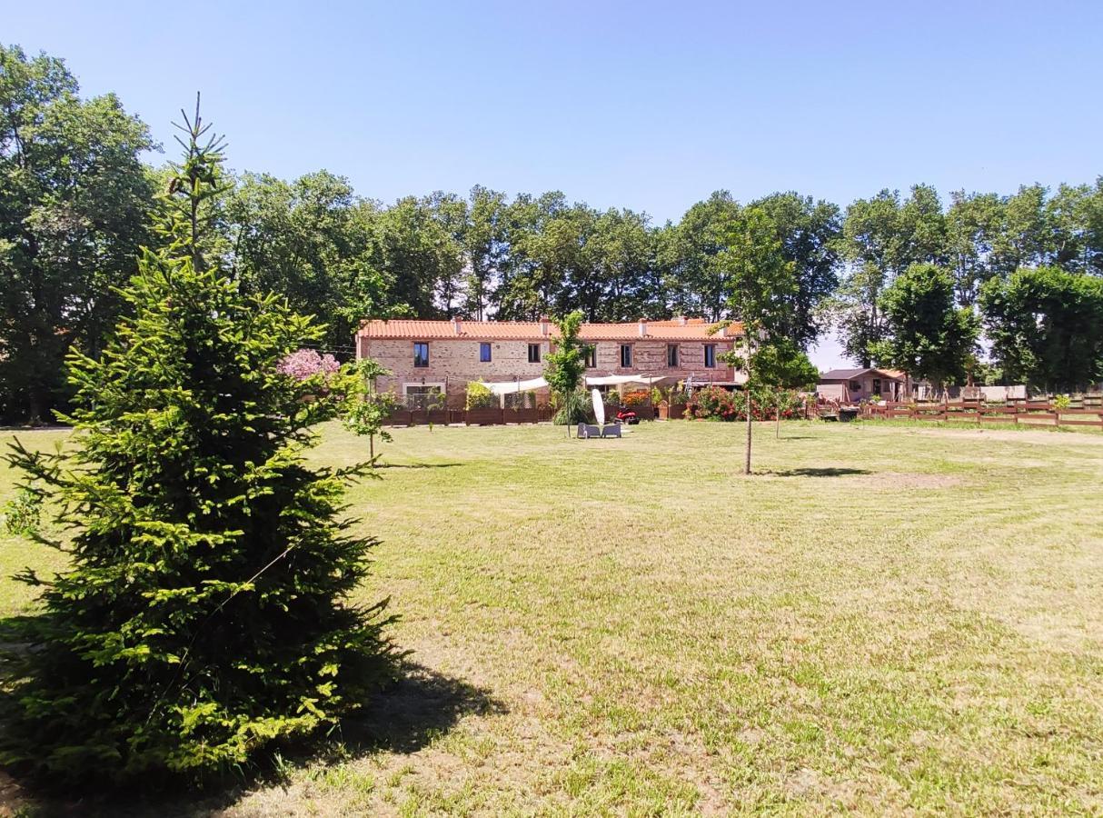 Les Appartements Du Mas Riols Saint-Cyprien  Exterior foto